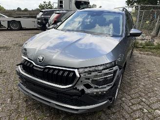 Skoda Kamiq Business picture 2