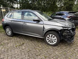 Skoda Kamiq Business picture 7