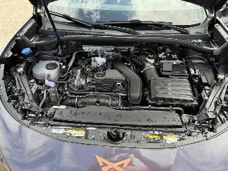 Cupra Terramar 1.5 eTSi 150 Pk automaat picture 24