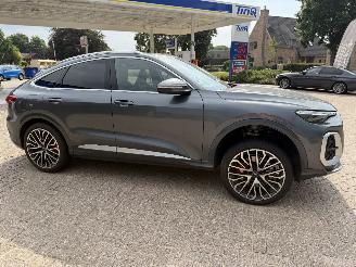 uszkodzony samochody osobowe Audi SQ5 3.0 - 270 Kw Sportback   Nieuwste model 2026/1