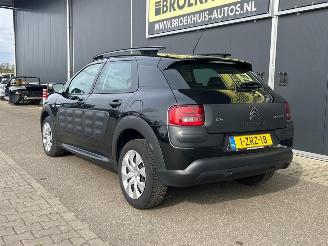 Citroën C4 cactus 1.6 e-HDi Feel AUTOMATIC picture 8