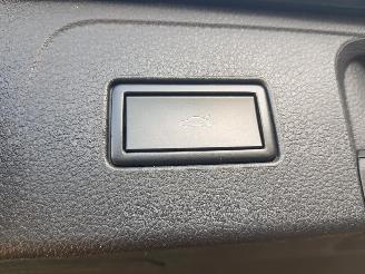 Volkswagen Passat Variant 1.4 TSI GTE Highline picture 26