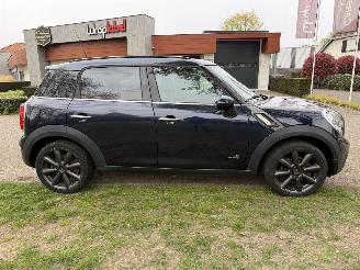 Mini Mini  picture 6