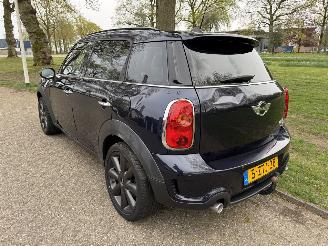 Mini Mini  picture 3