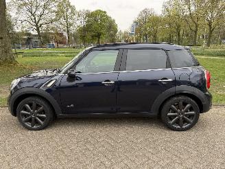 Mini Mini  picture 2