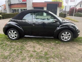 Volkswagen Beetle  picture 6