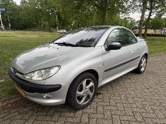 Vaurioauto  passenger cars Peugeot 206  2002/1