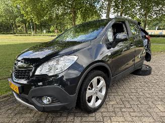 Vaurioauto  passenger cars Opel Mokka  2013/1