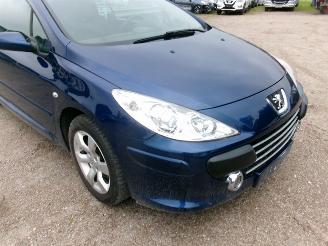 Peugeot 307 1.6 CC - Cabrio picture 9