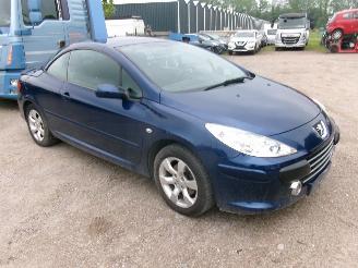 Peugeot 307 1.6 CC - Cabrio picture 3
