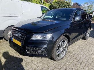 Audi SQ5 3.0 TSFI Quattro picture 24