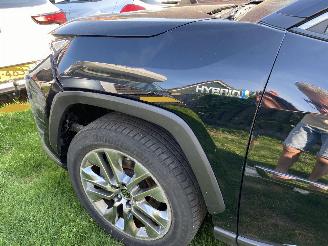 Toyota Rav-4 2.5 Hybrid AWD Style picture 64