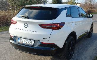 Opel Grandland 1.6 Automaat Hybrid picture 9
