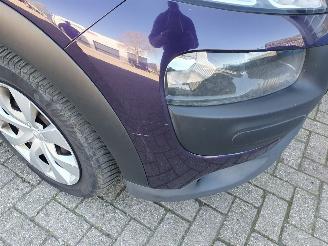 Citroën C4 cactus 1.2 PureTech Business picture 10