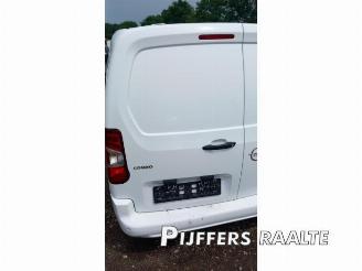 Opel Combo Combo Cargo, Van, 2018 1.5 CDTI 100 picture 7