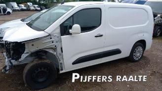 Opel Combo Combo Cargo, Van, 2018 1.5 CDTI 100 picture 2