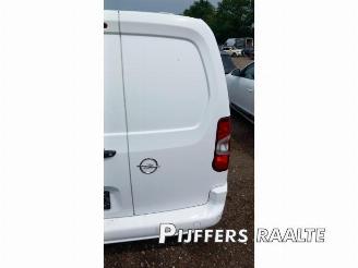Opel Combo Combo Cargo, Van, 2018 1.5 CDTI 100 picture 10
