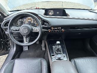 Mazda CX-30 2.0 e-SkyActive -G M Hybrid Comfort picture 21