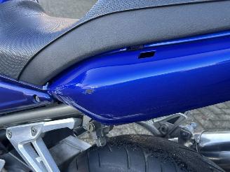 Yamaha FZS 1000 Fazer picture 12