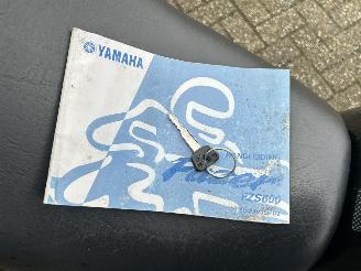 Yamaha FZS 600 Fazer picture 16