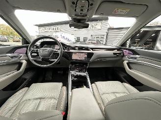 Audi E-tron 55 Quattro Advanced 95 kWh picture 36