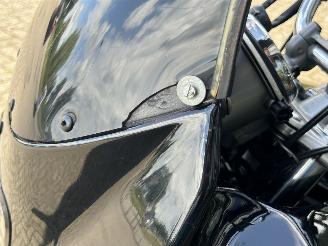 Suzuki VX 800  picture 12