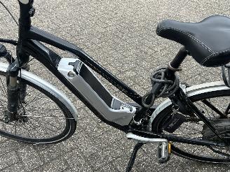Trek  Ebike picture 10