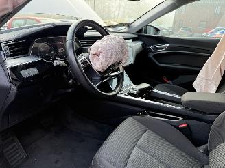 Audi E-tron 55 quattro edition 95 kWh  PANORAMADAK picture 10