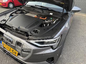 Audi E-tron 55 quattro edition 95 kWh  PANORAMADAK picture 20