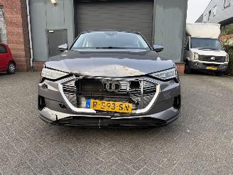 Audi E-tron 55 quattro edition 95 kWh  PANORAMADAK picture 9