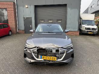 Audi E-tron 55 quattro edition 95 kWh  PANORAMADAK picture 8