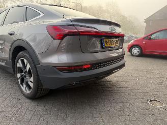 Audi E-tron 55 quattro edition 95 kWh  PANORAMADAK picture 42