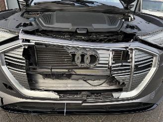 Audi E-tron 55 quattro edition 95 kWh  PANORAMADAK picture 29