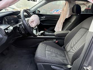 Audi E-tron 55 quattro edition 95 kWh  PANORAMADAK picture 30