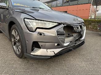 Audi E-tron 55 quattro edition 95 kWh  PANORAMADAK picture 44