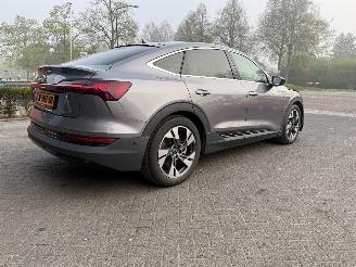 Audi E-tron 55 quattro edition 95 kWh  PANORAMADAK picture 15