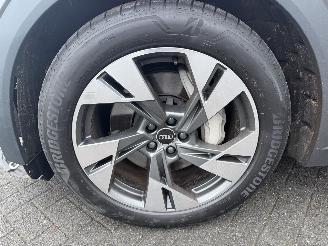 Audi E-tron 55 quattro edition 95 kWh  PANORAMADAK picture 24
