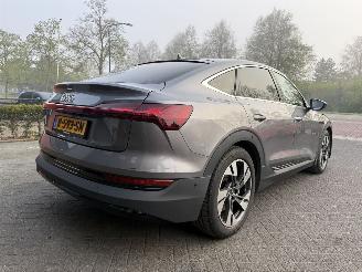 Audi E-tron 55 quattro edition 95 kWh  PANORAMADAK picture 5