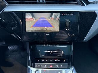 Audi E-tron 55 quattro edition 95 kWh  PANORAMADAK picture 22
