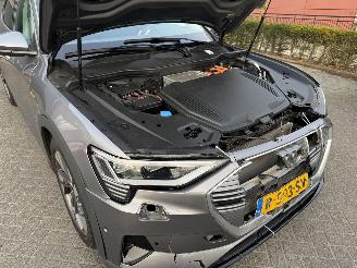 Audi E-tron 55 quattro edition 95 kWh  PANORAMADAK picture 19