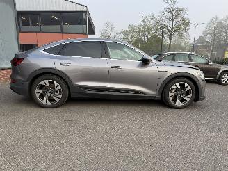 Audi E-tron 55 quattro edition 95 kWh  PANORAMADAK picture 6