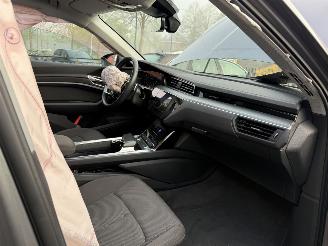 Audi E-tron 55 quattro edition 95 kWh  PANORAMADAK picture 36