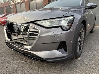 Audi E-tron 55 quattro edition 95 kWh  PANORAMADAK picture 45