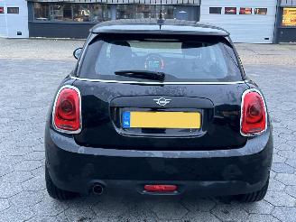 Mini One 1.5 One Salt picture 5