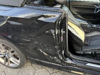 BMW 2-serie Cabrio 220i Centennial High Executive picture 10