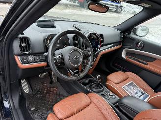 Mini Countryman JCW ALL4 306PK 2.0 John Cooper Chili picture 20