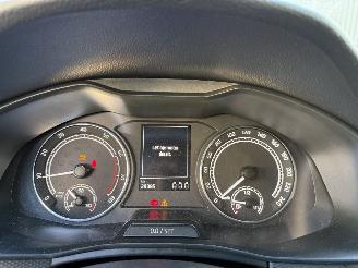 Skoda Scala 1.0 TSI Ambition picture 14