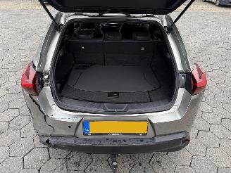 Lexus UX 250h Preference Line picture 13