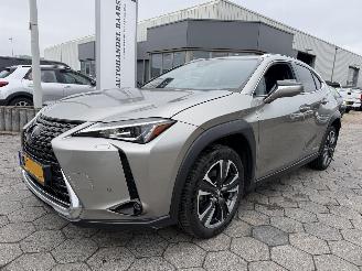 Avarii autoturisme Lexus UX 250h Preference Line 2021/1