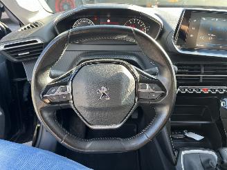 Peugeot 208 1.5 BlueHDi picture 18